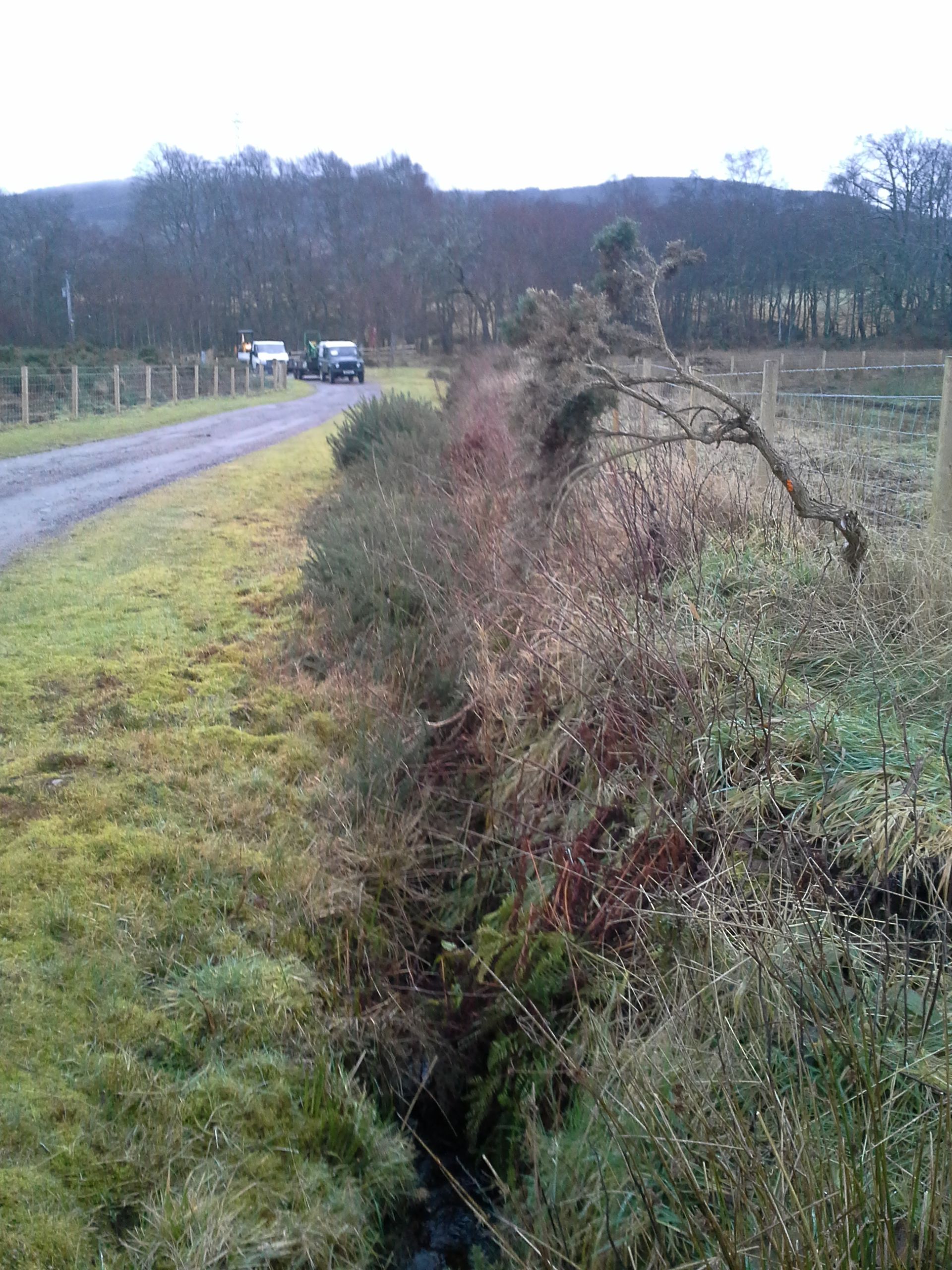 Ditch Clearance
